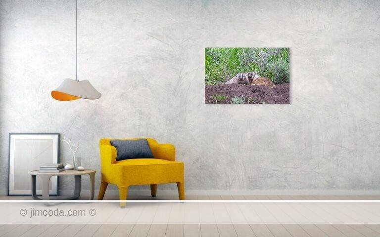 Fine art photo print example in living room