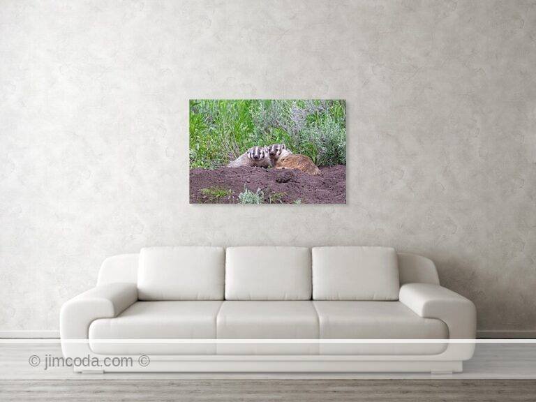 Fine art photo print example in living room