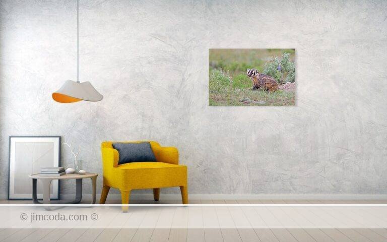 Fine art photo print example in living room