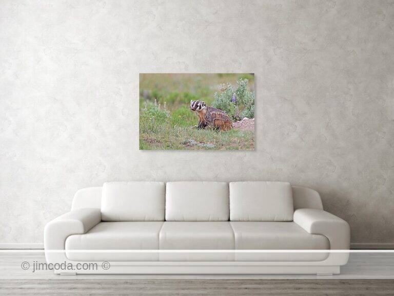 Fine art photo print example in living room
