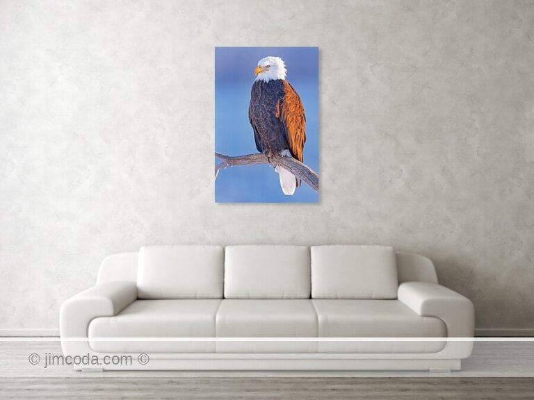 Fine art photo print example in living room