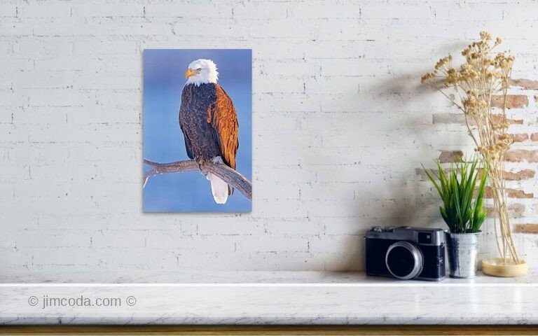 Fine art photo print example in living room