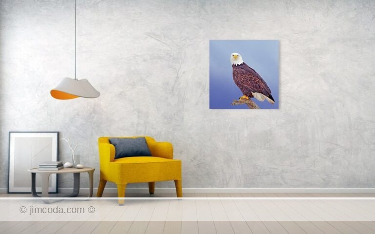 Fine art photo print example in living roomomer-alaska-jim-coda (1)