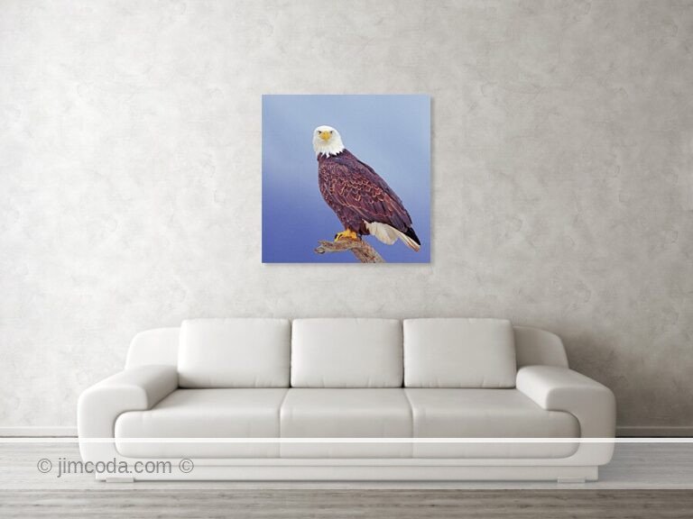 Fine art photo print example in living room