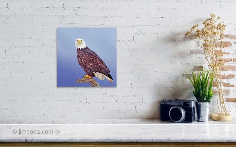 Fine art photo print example in living room
