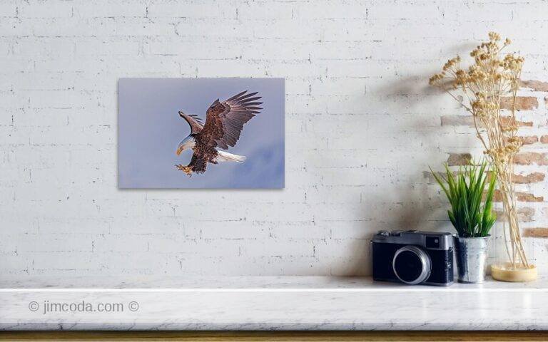 Fine art photo print example in living room