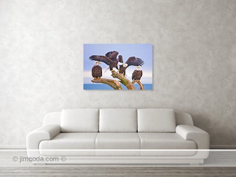 Fine art photo print example in living room