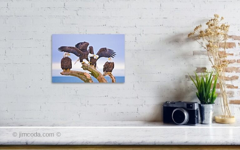 Fine art photo print example in living room