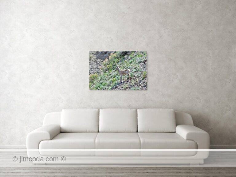 Fine art photo print example in living room