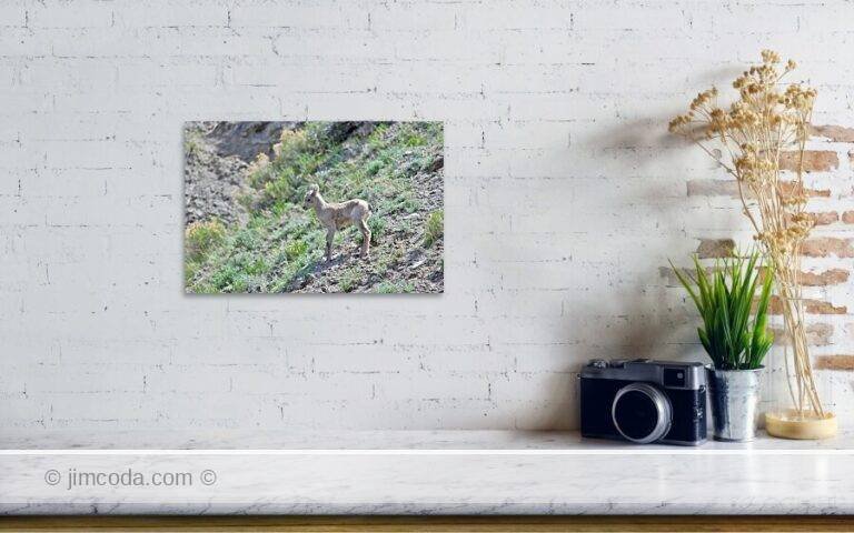 Fine art photo print example in living room
