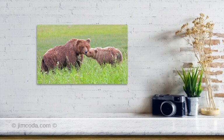 Fine art photo print example in living room