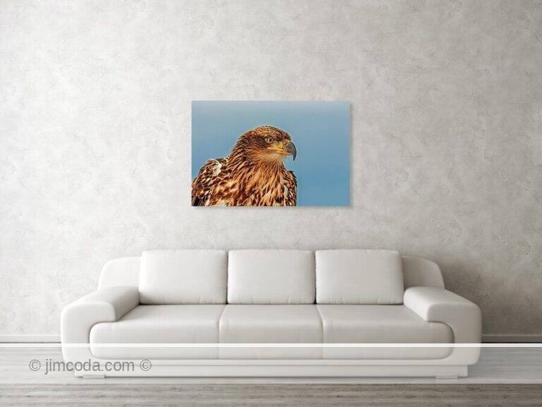 Fine art photo print example in living room