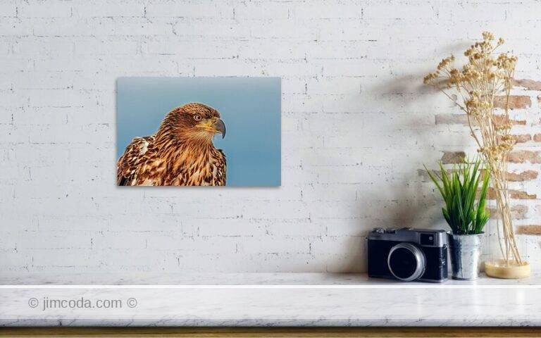 Fine art photo print example in living room