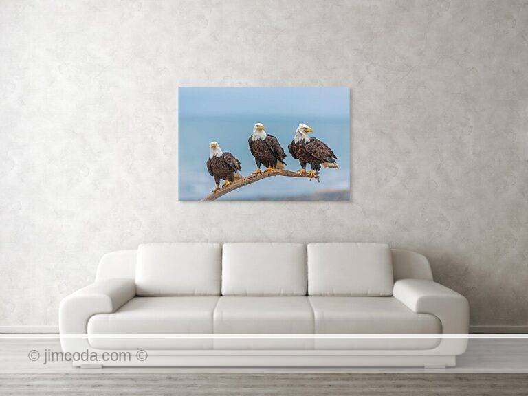 Fine art photo print example in living room