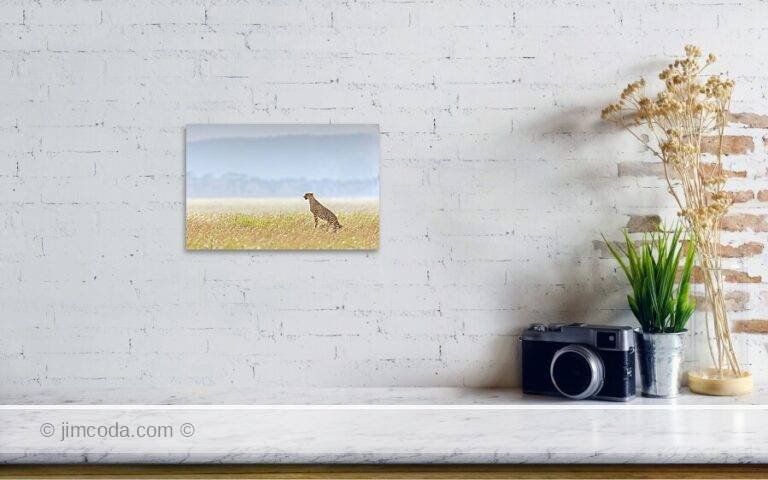 Fine art photo print example in living room