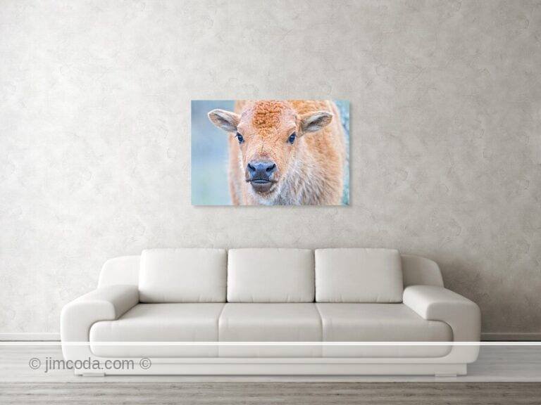 Fine art photo print example in living room