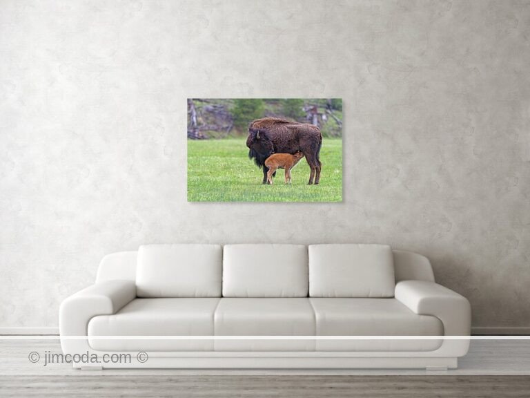 Fine art photo print example in living room