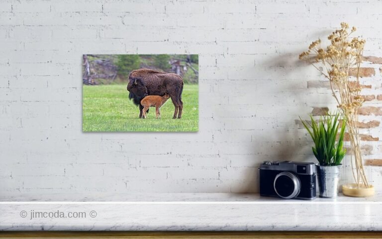 Fine art photo print example in living room