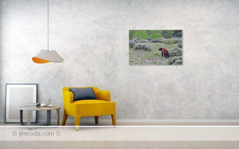 Fine art photo print example in living room