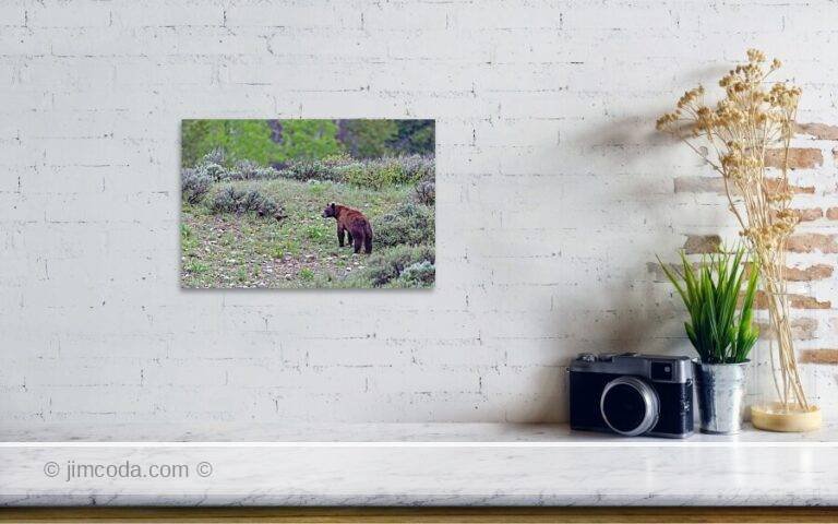 Fine art photo print example in living room