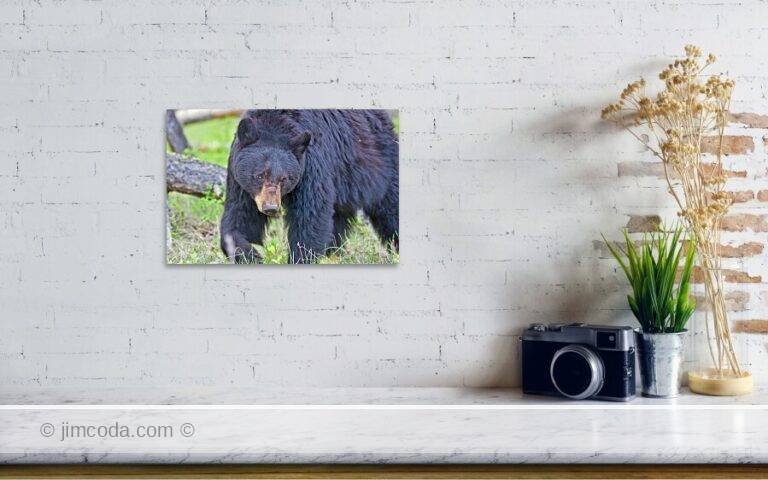 Fine art photo print example in living room