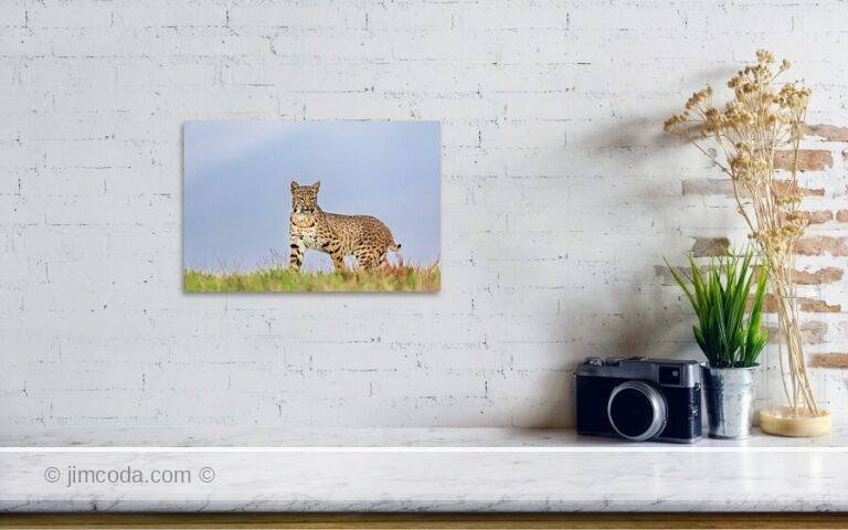 Fine art photo print example in living room