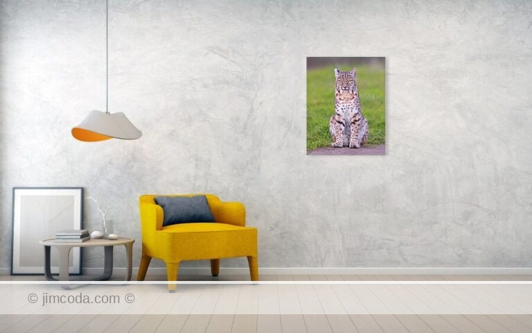 Fine art photo print example in living room
