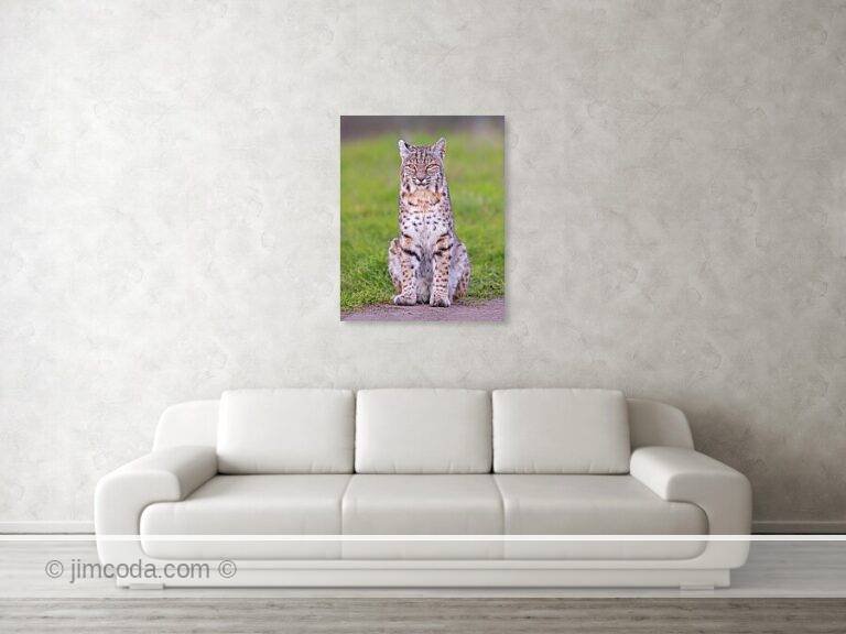 Fine art photo print example in living room