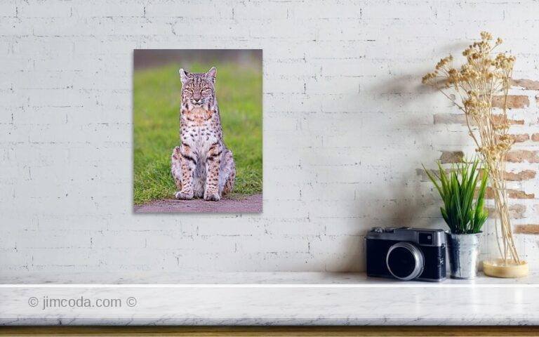 Fine art photo print example in living room