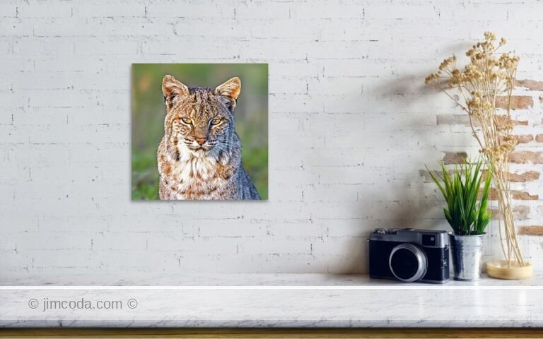 Fine art photo print example in living room
