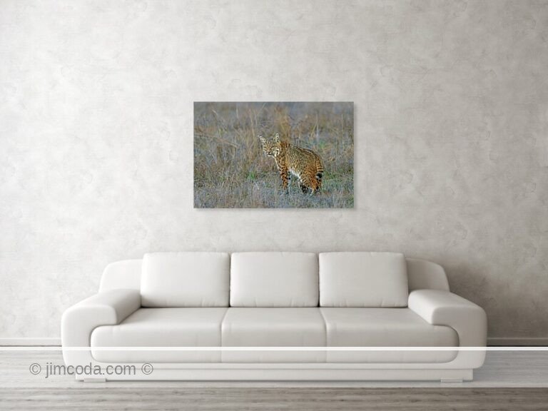 Fine art photo print example in living room