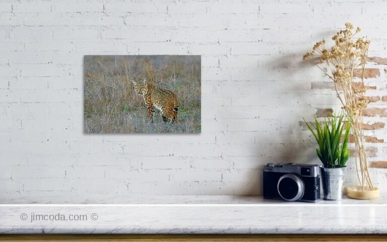 Fine art photo print example in living room