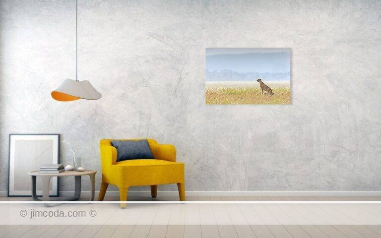 Fine art photo print example in living room