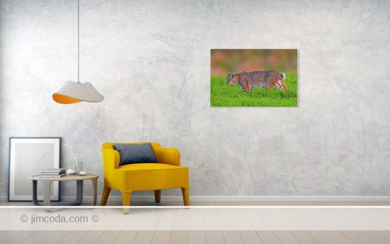 Fine art photo print example in living room
