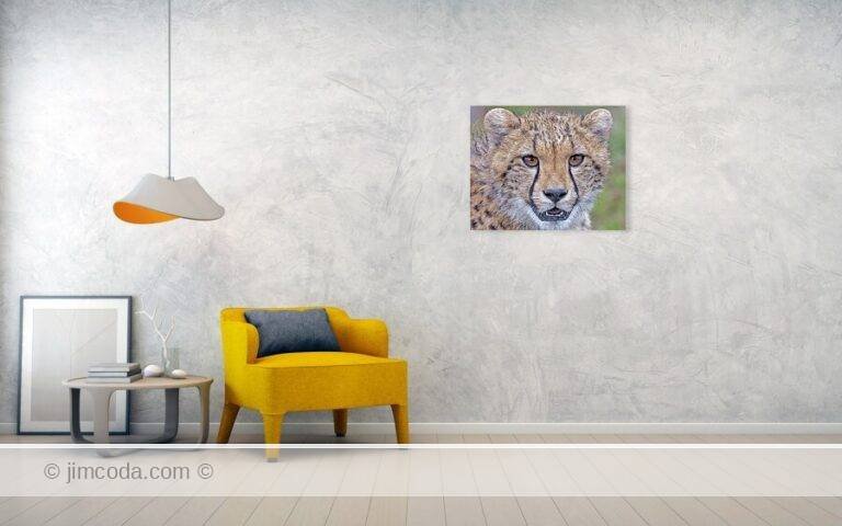 Fine art photo print example in living room