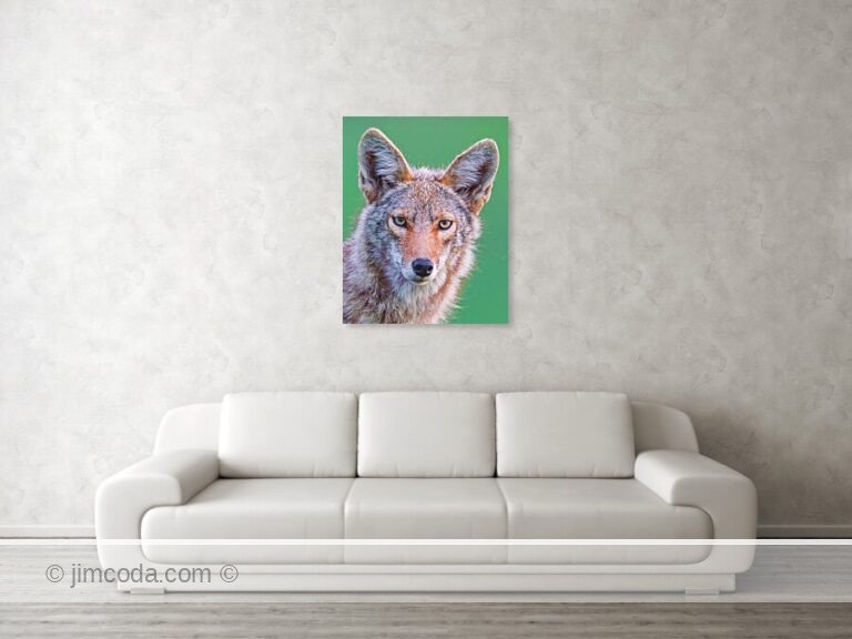Fine art photo print example in living room