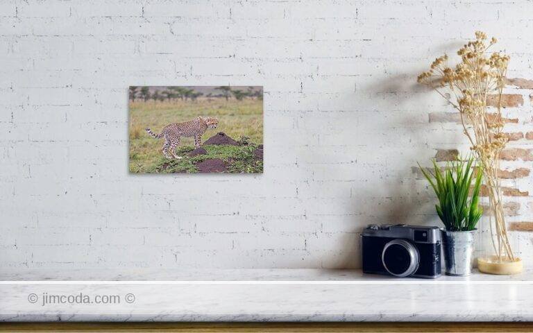 Fine art photo print example in living room