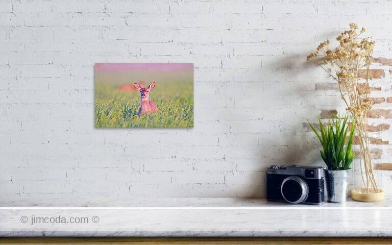 Fine art photo print example in living room