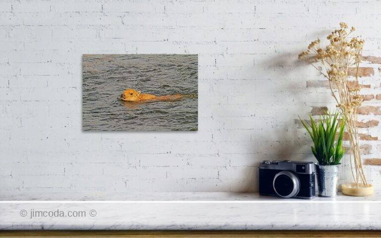 Fine art photo print example in living room
