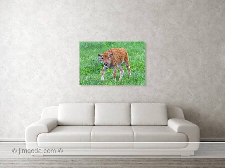 Fine art photo print example in living room