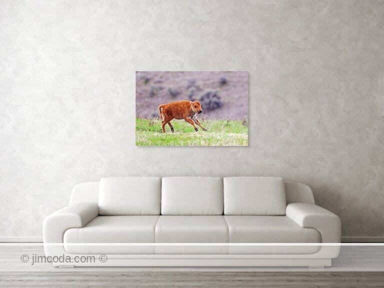 Fine art photo print example in living room
