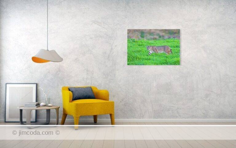 Fine art photo print example in living room