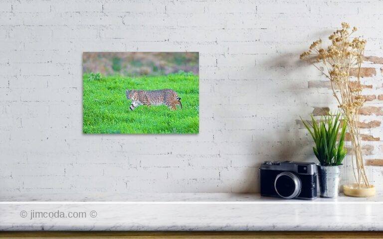 Fine art photo print example in living room