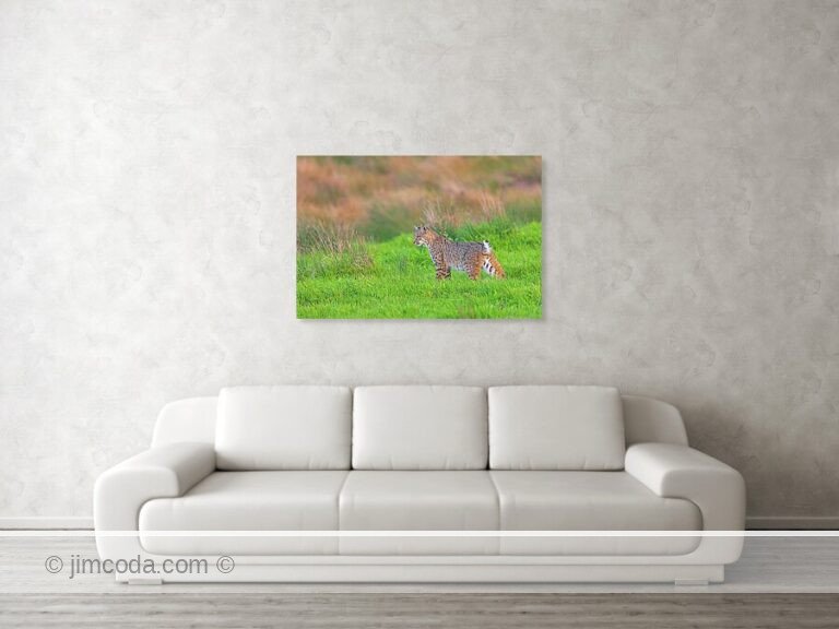 Fine art photo print example in living room