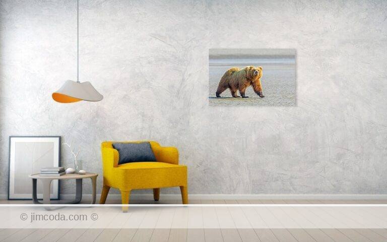 Fine art photo print example in living room