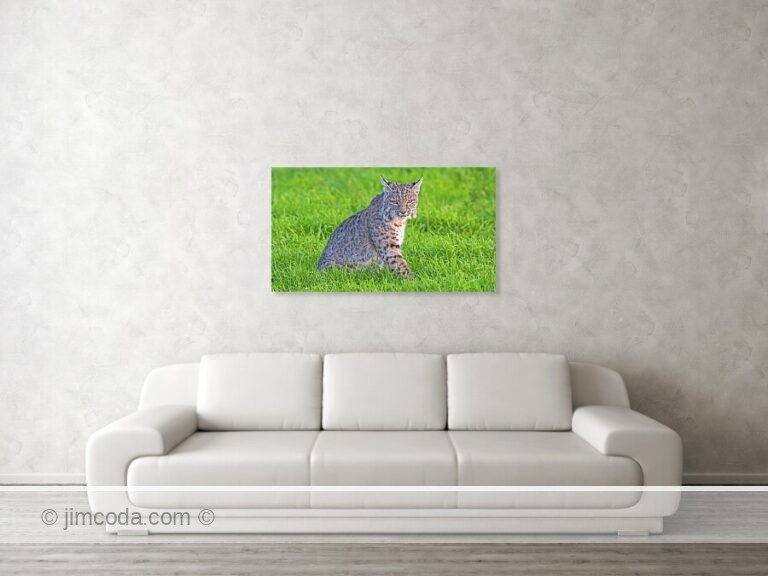 Fine art photo print example in living room