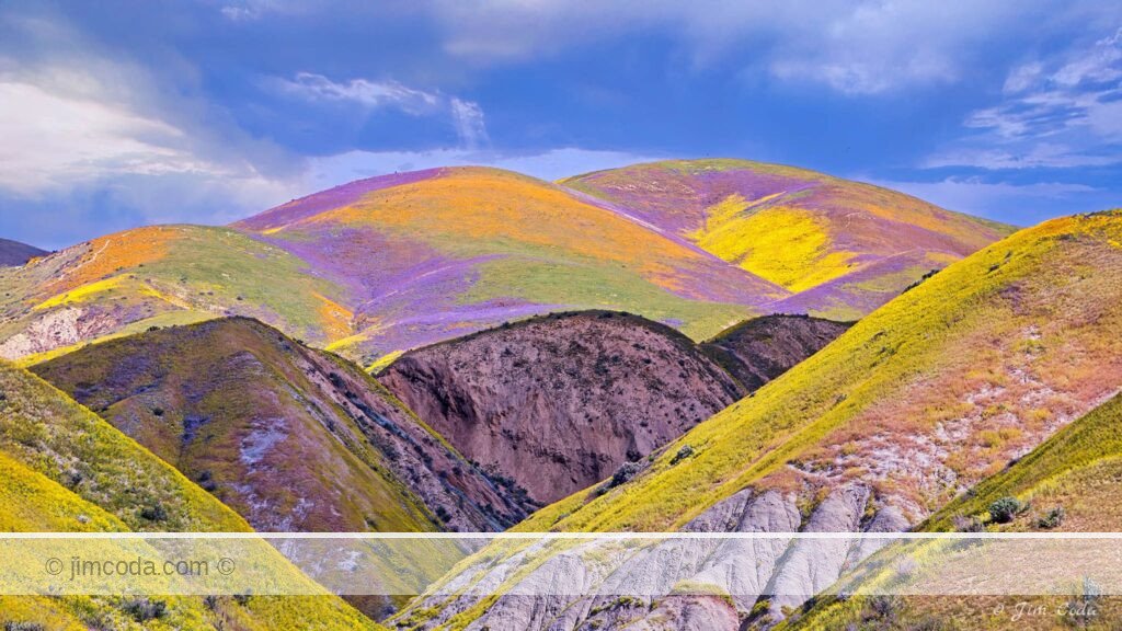 This is a view of the Temblor Range in the Carrizo Plain National Monument. The San Andreas fault line runs through it.
