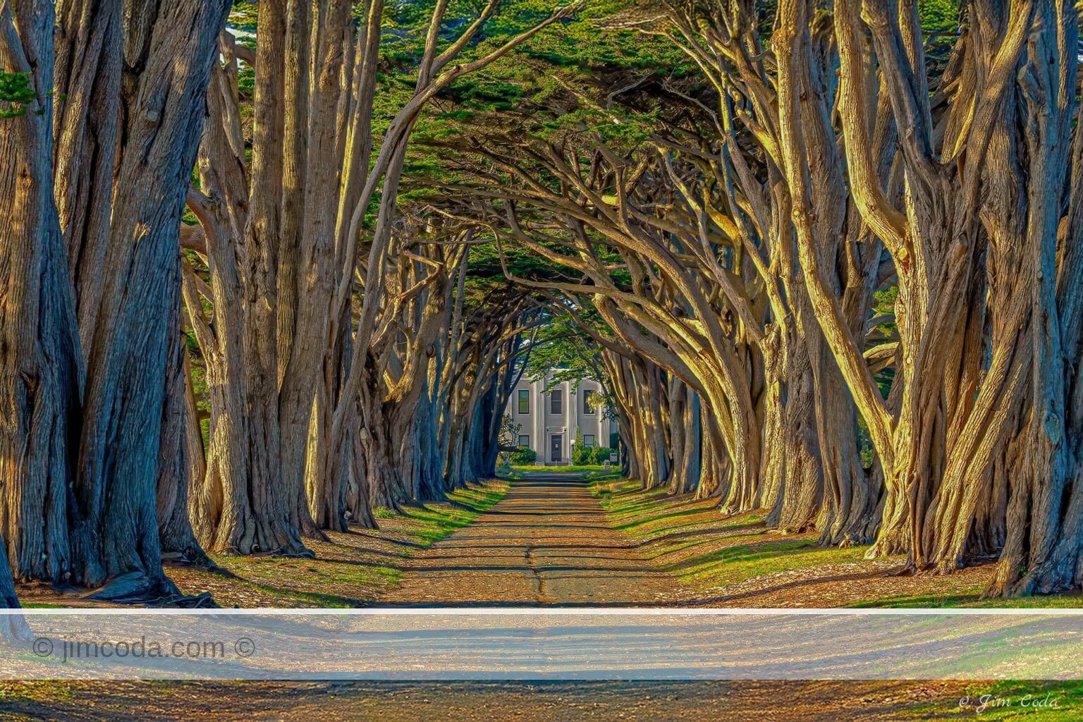 A view of the historic RCA building through the equally historic Cypress Tree Tunnel. The building is noiw used by NPS as its North Ranger Station.