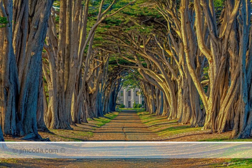 A view of the historic RCA building through the equally historic Cypress Tree Tunnel.  The building is noiw used by NPS as its North Ranger Station.