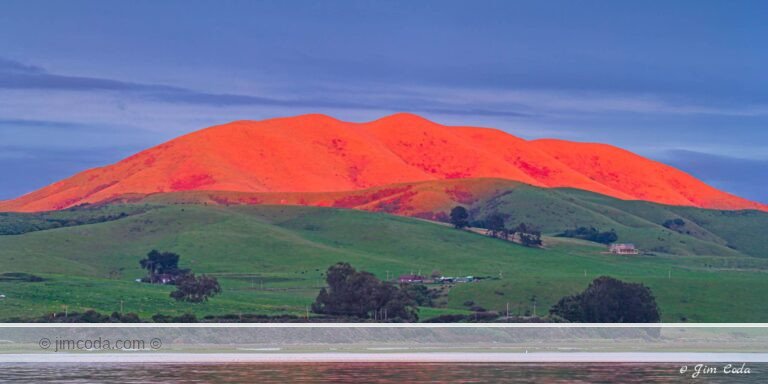 This is a photo of Elephant Mountain, aka Black Mountain, in west Marin County, California.
